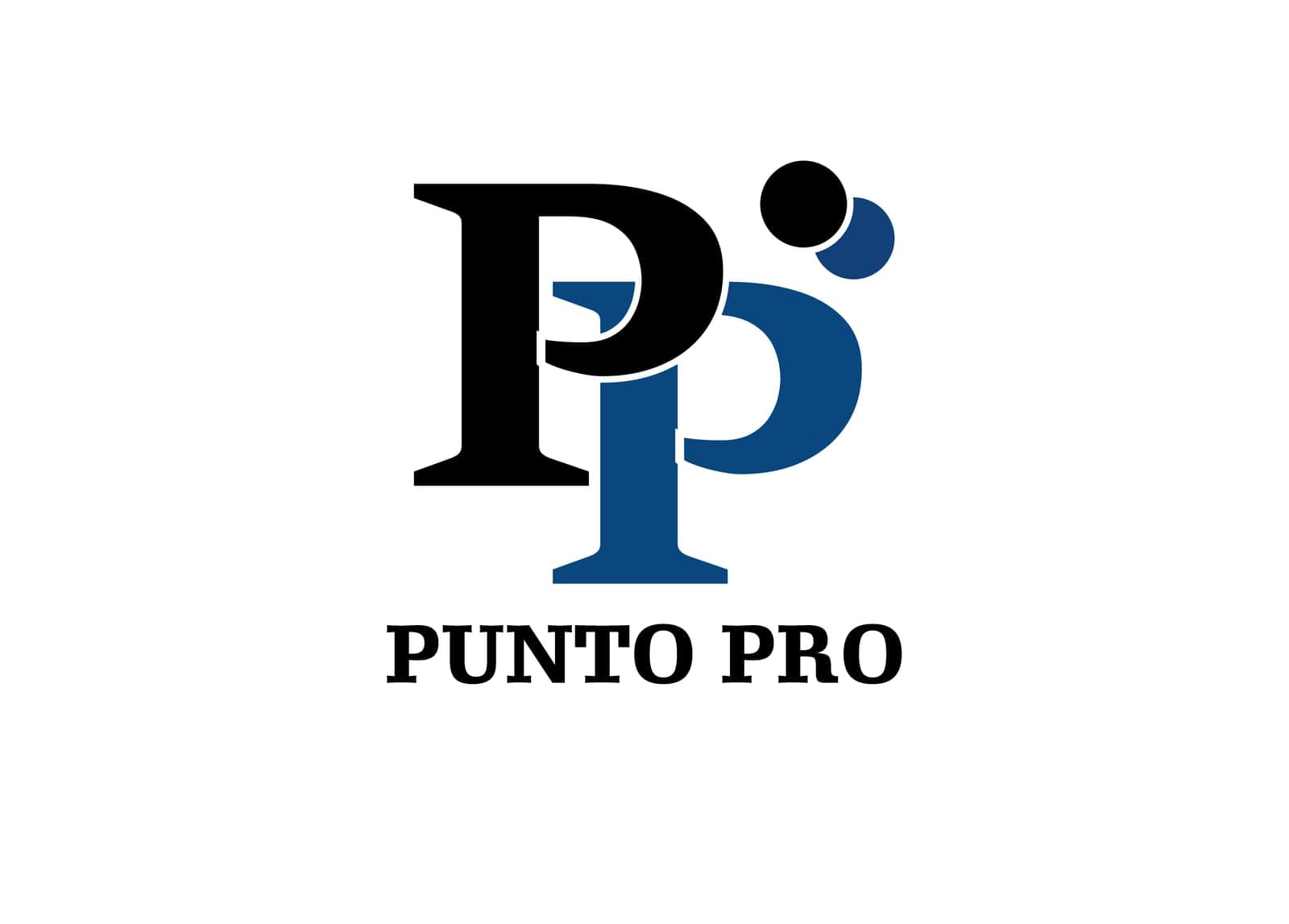 Punto Pro