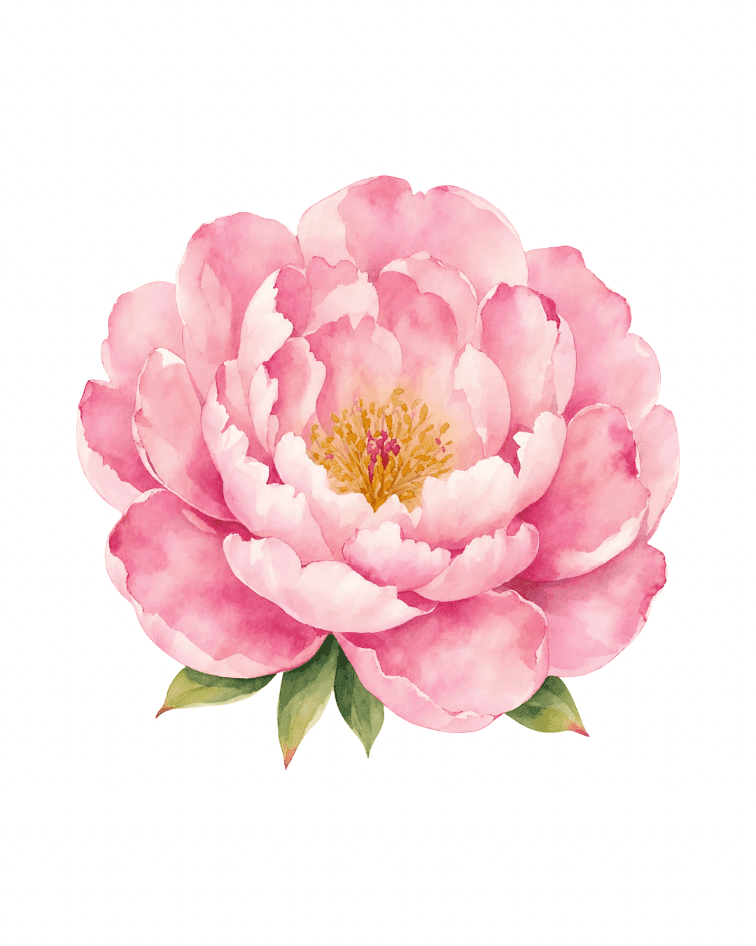 Diseño florales