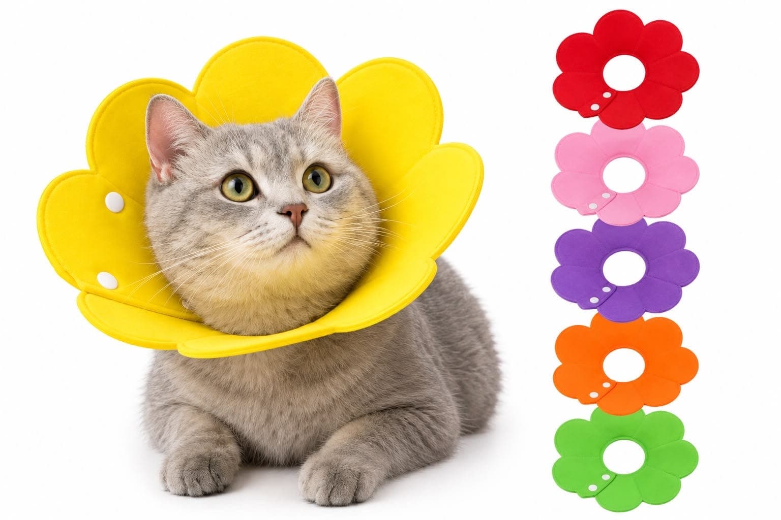 Collar isabelino para mascotas con forma de flor