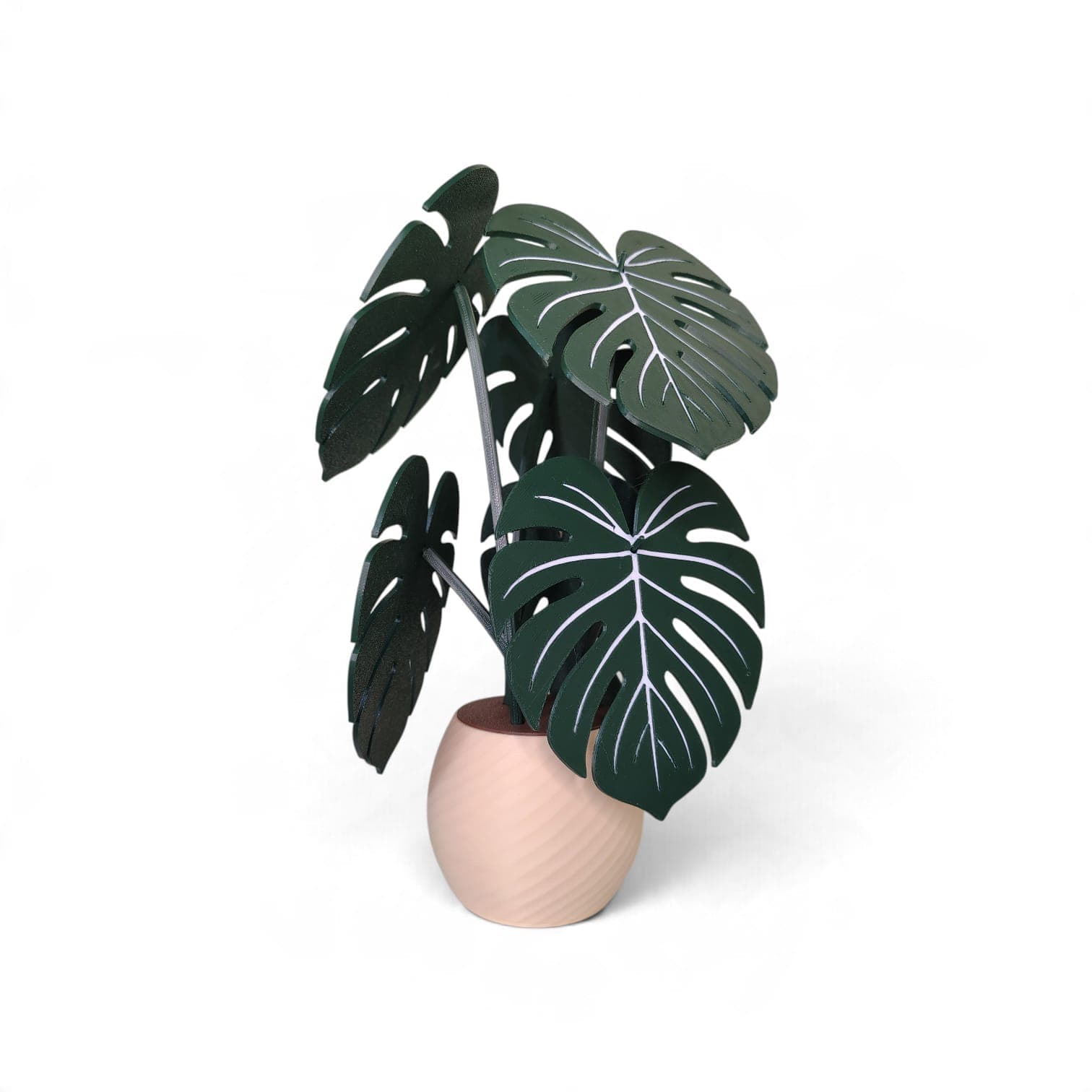 Monstera Posavasos