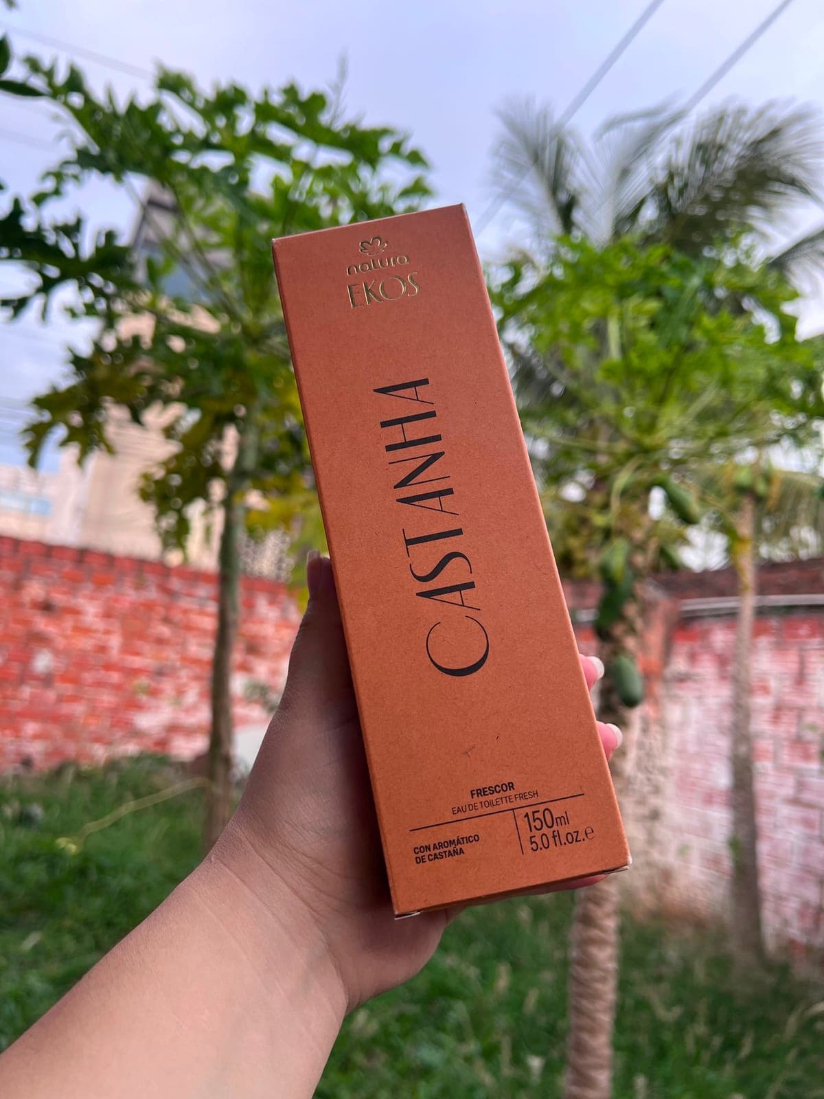 FRESCOR DE CASTANHA EKOS – NATURA✨🌰 — imagen 1 de 1