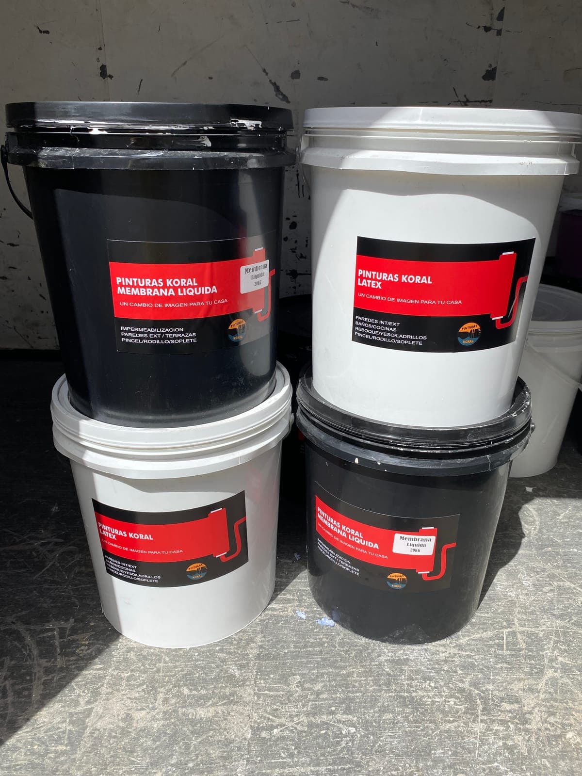 Pinturas koral