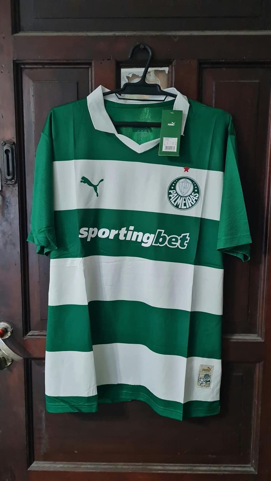 Palmeiras Versión Jugador — imagen 1 de 1