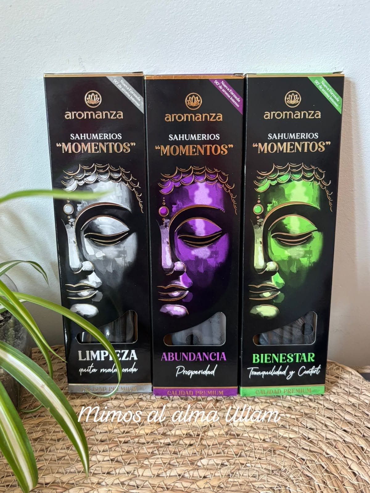 Inciensos linea momentos