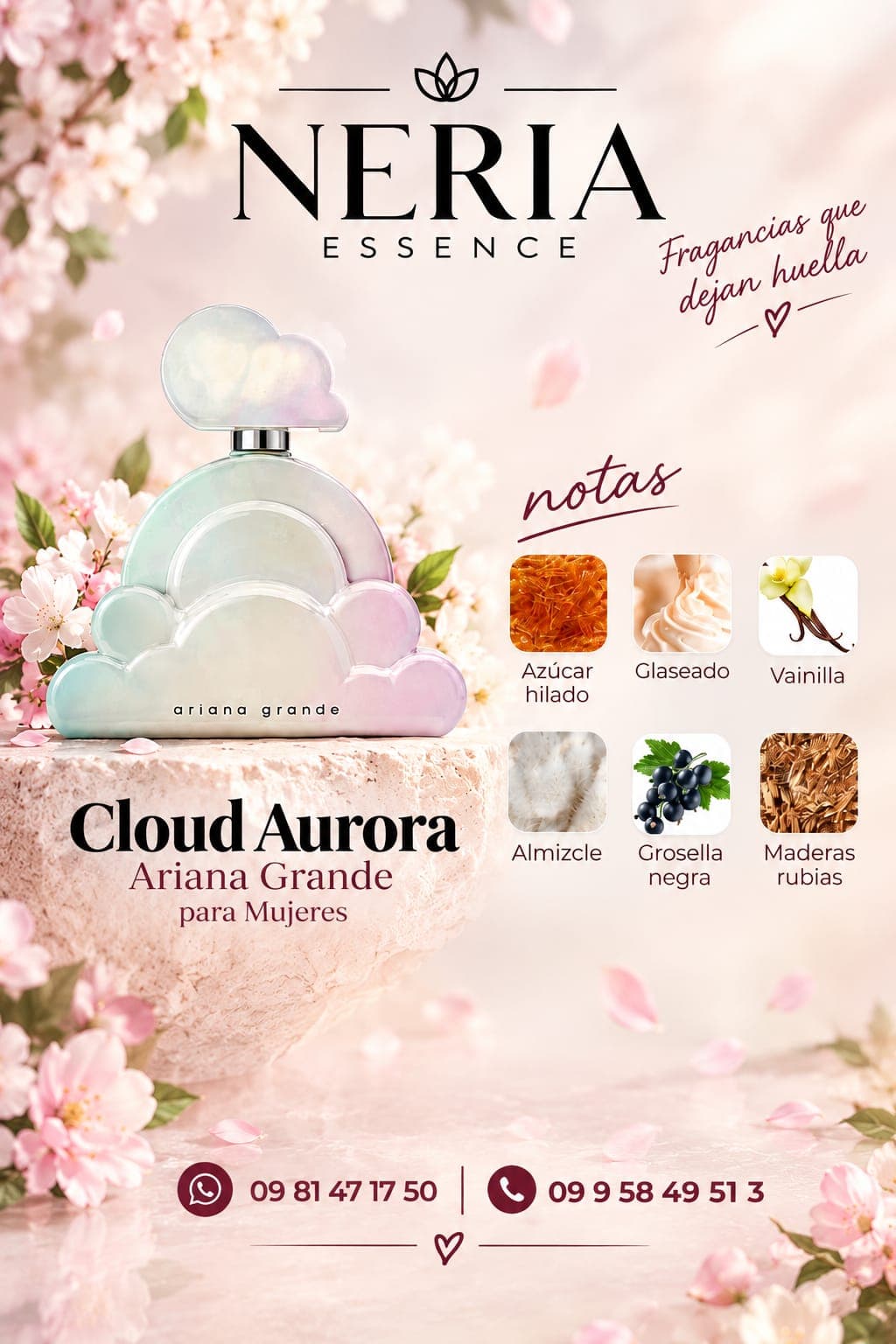GLOUD AURORA