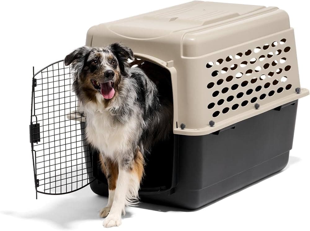 Transportador para perros
